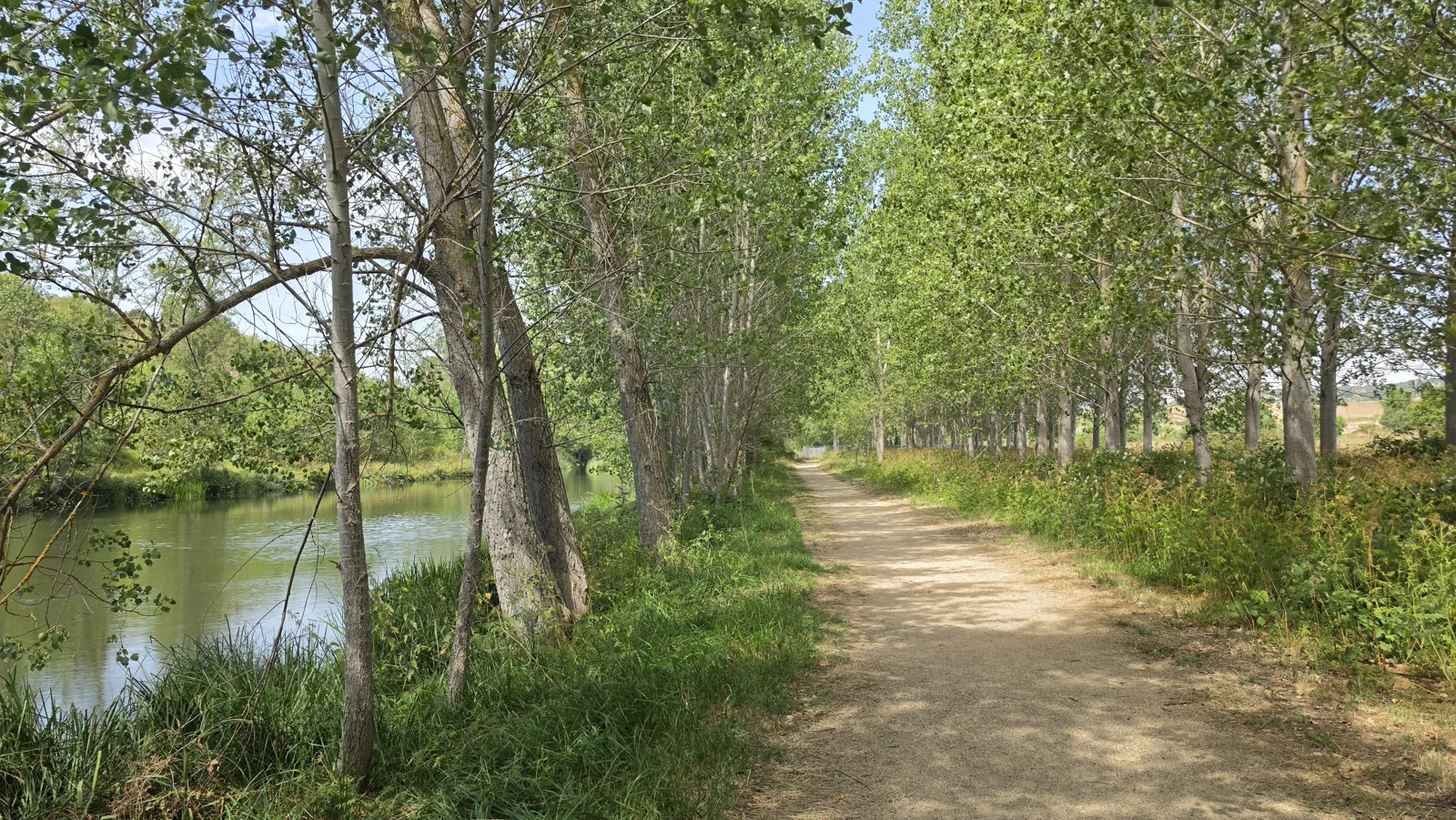 A path beside the river
