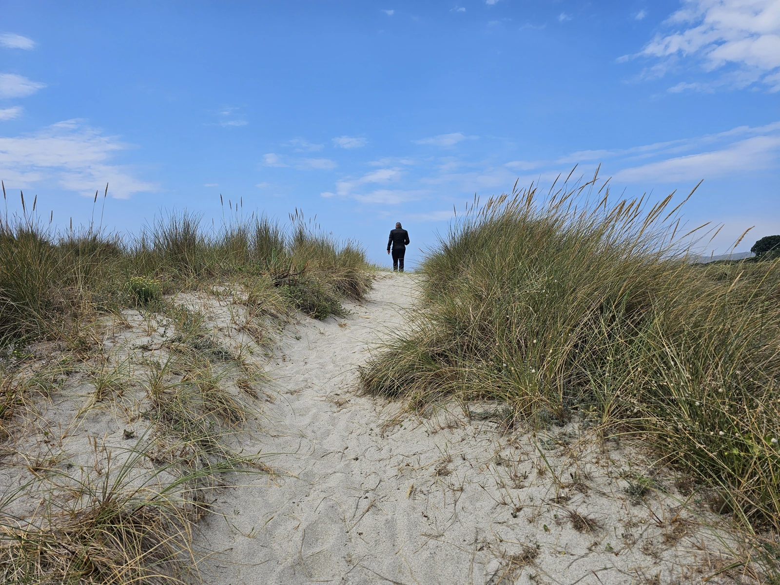 Through the dunes