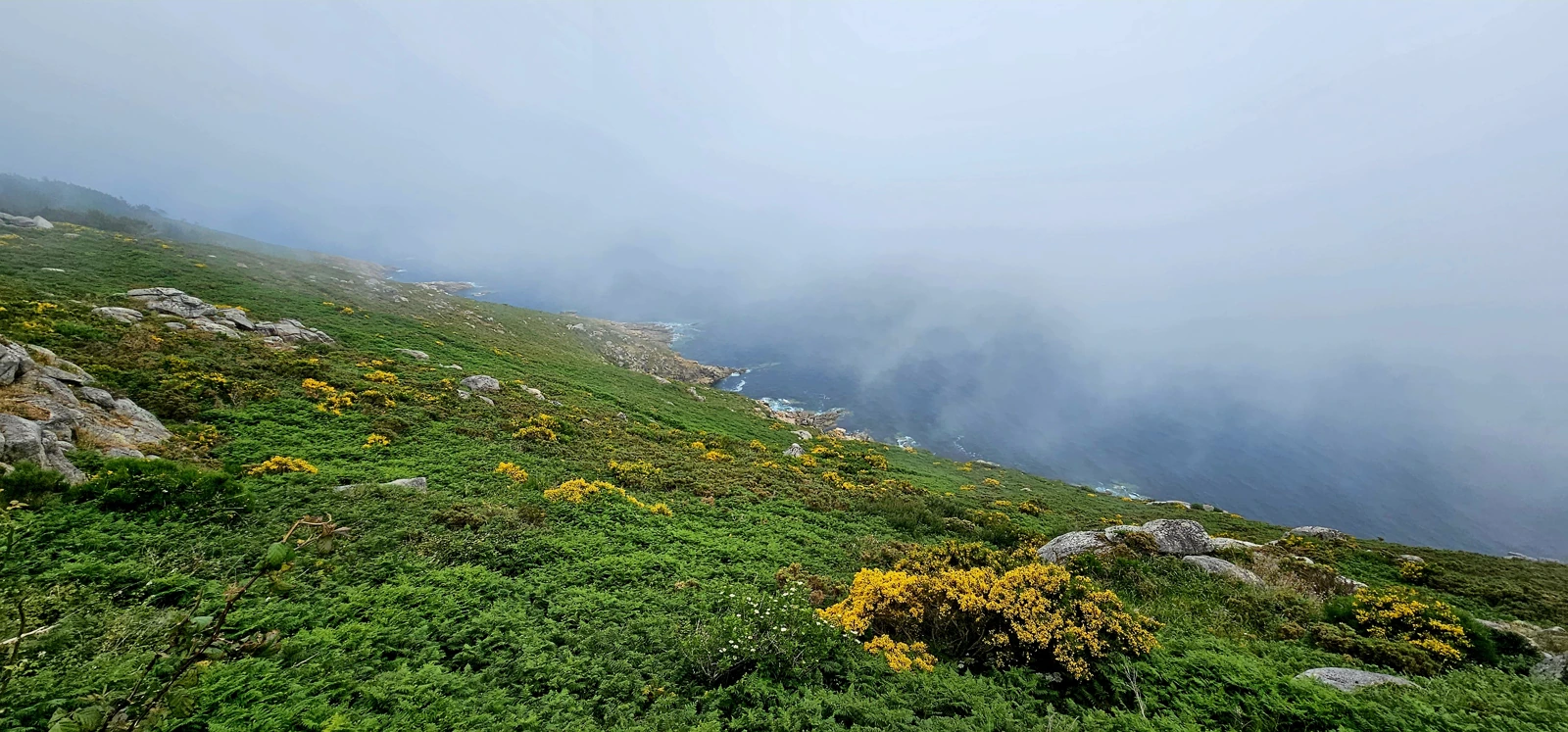 The coast disappears